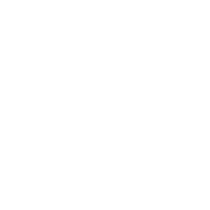 Priclydata Biostatistics - expert statistical support tailored